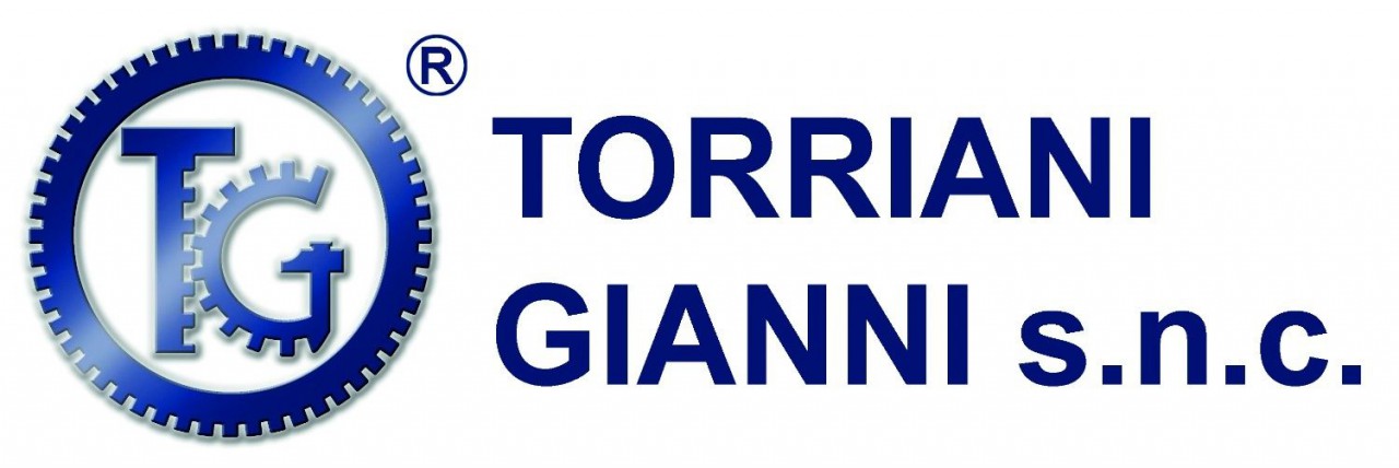 Логотип torriani